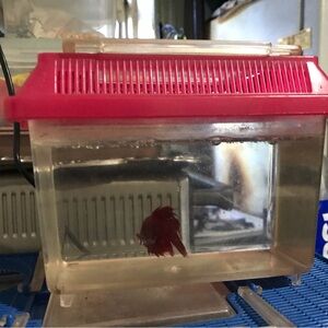 Mini fish tanks 2024